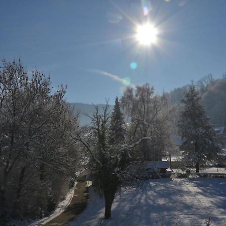 Appartamento Haus Reichenbach Glottertal Esterno foto