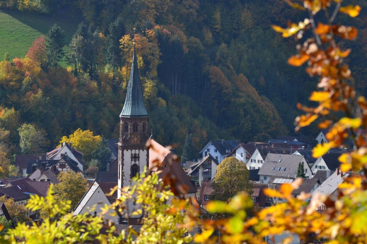 Appartamento Haus Reichenbach Glottertal Esterno foto