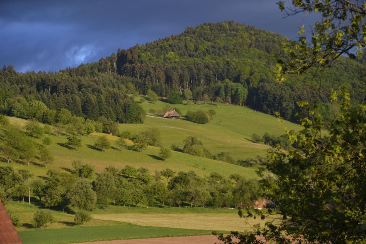 Appartamento Haus Reichenbach Glottertal Esterno foto