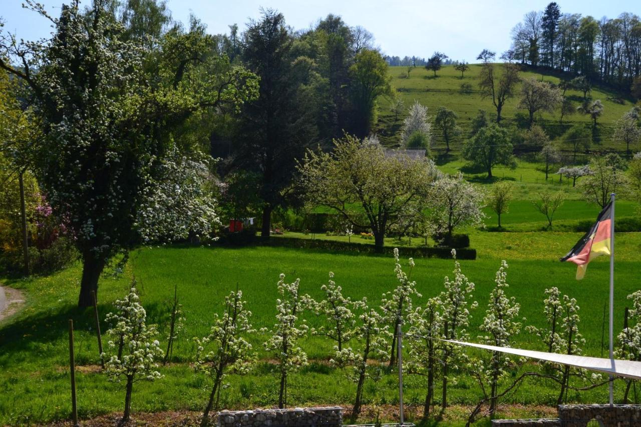 Appartamento Haus Reichenbach Glottertal Esterno foto